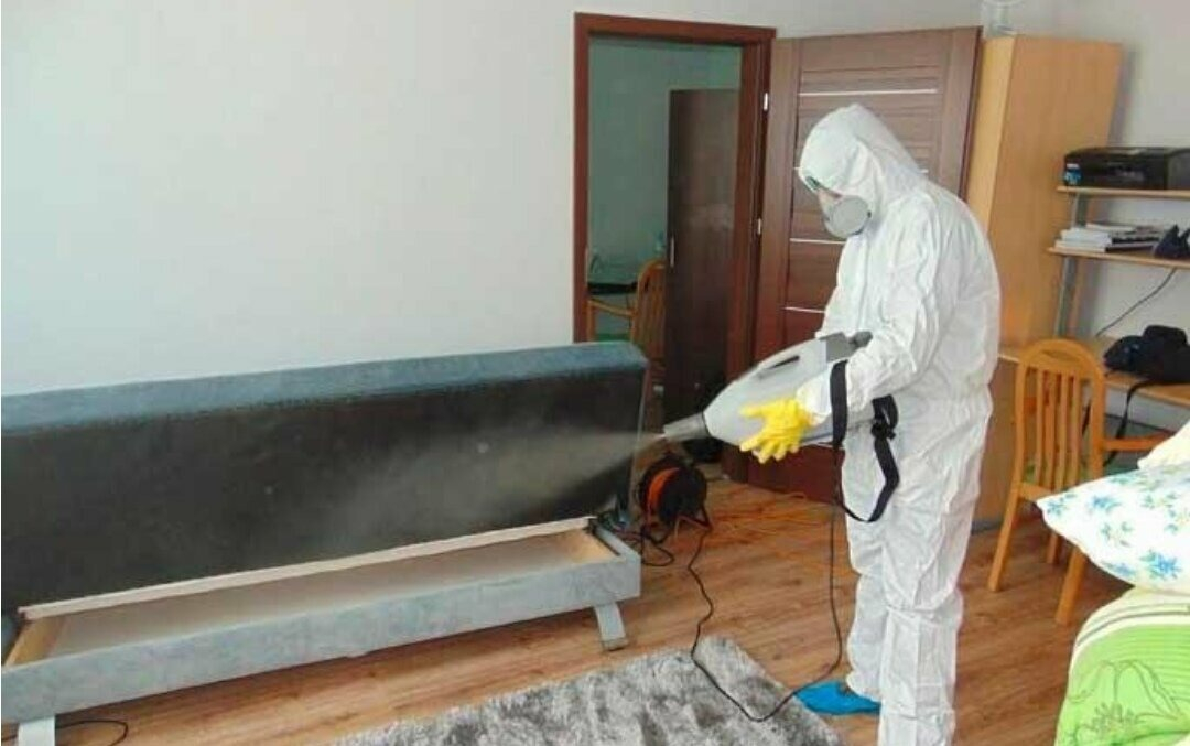 ФОТО Уничтожение блох в Первомайском