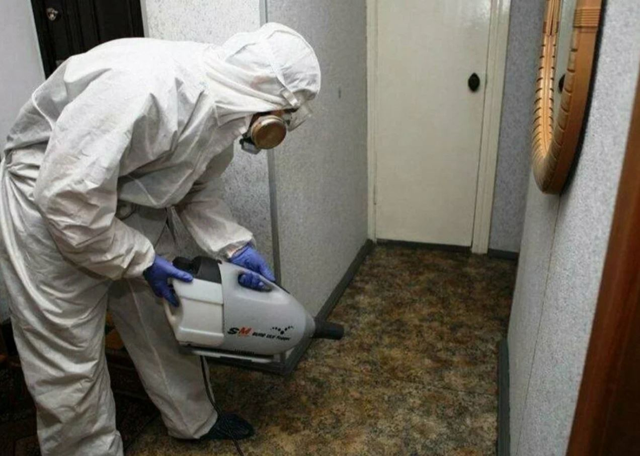 ФОТО Какие методы обработки для дезинсекции существуют в Первомайском? | подробно