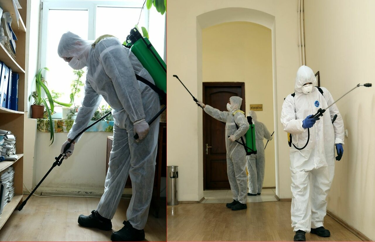 ФОТО Требуется ли лицензия для дезинсекции и дезинфекции в Первомайском? | подробно