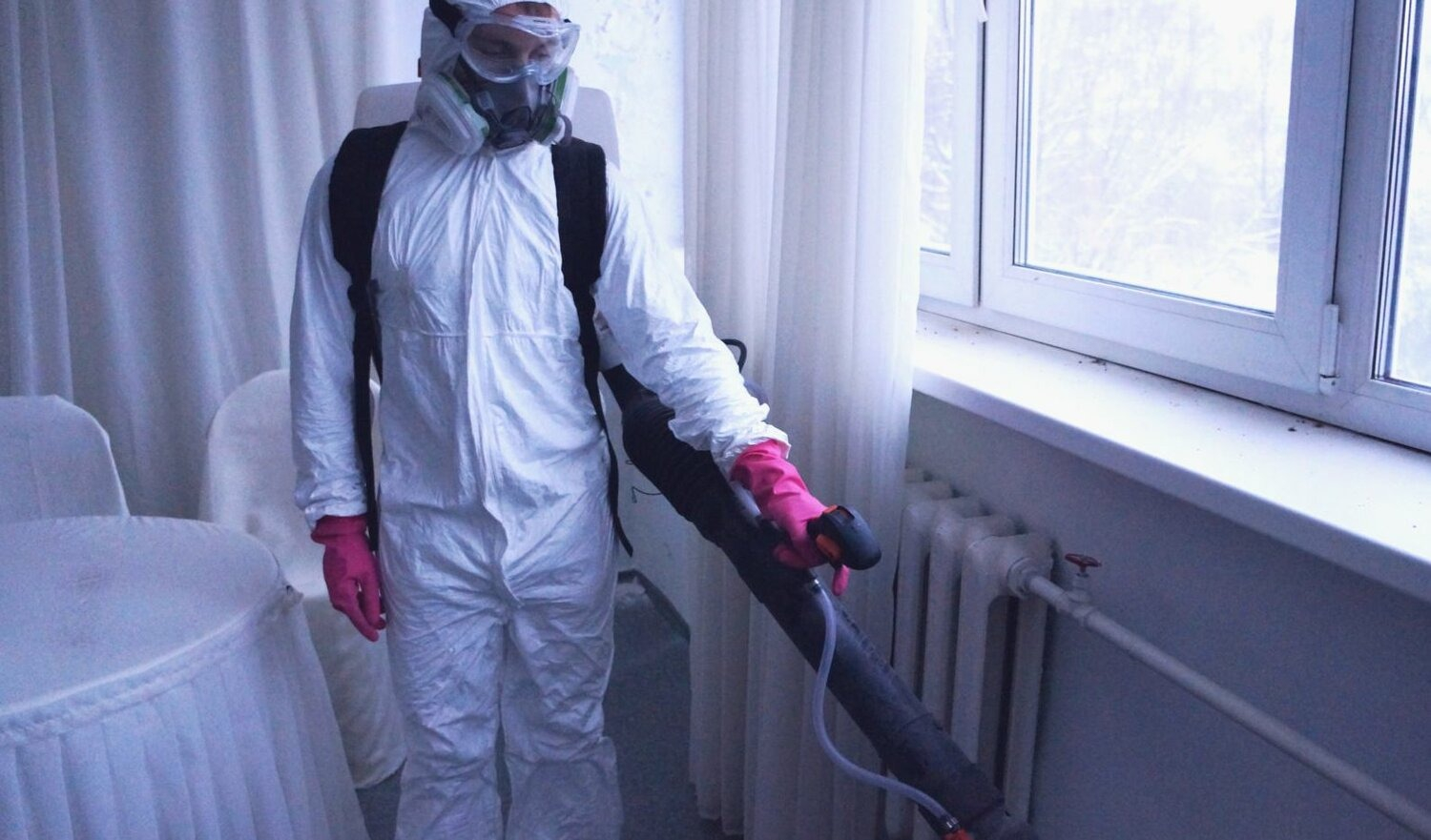 ФОТО Нужно ли выносить растения при дезинсекции в Первомайском? | подробно