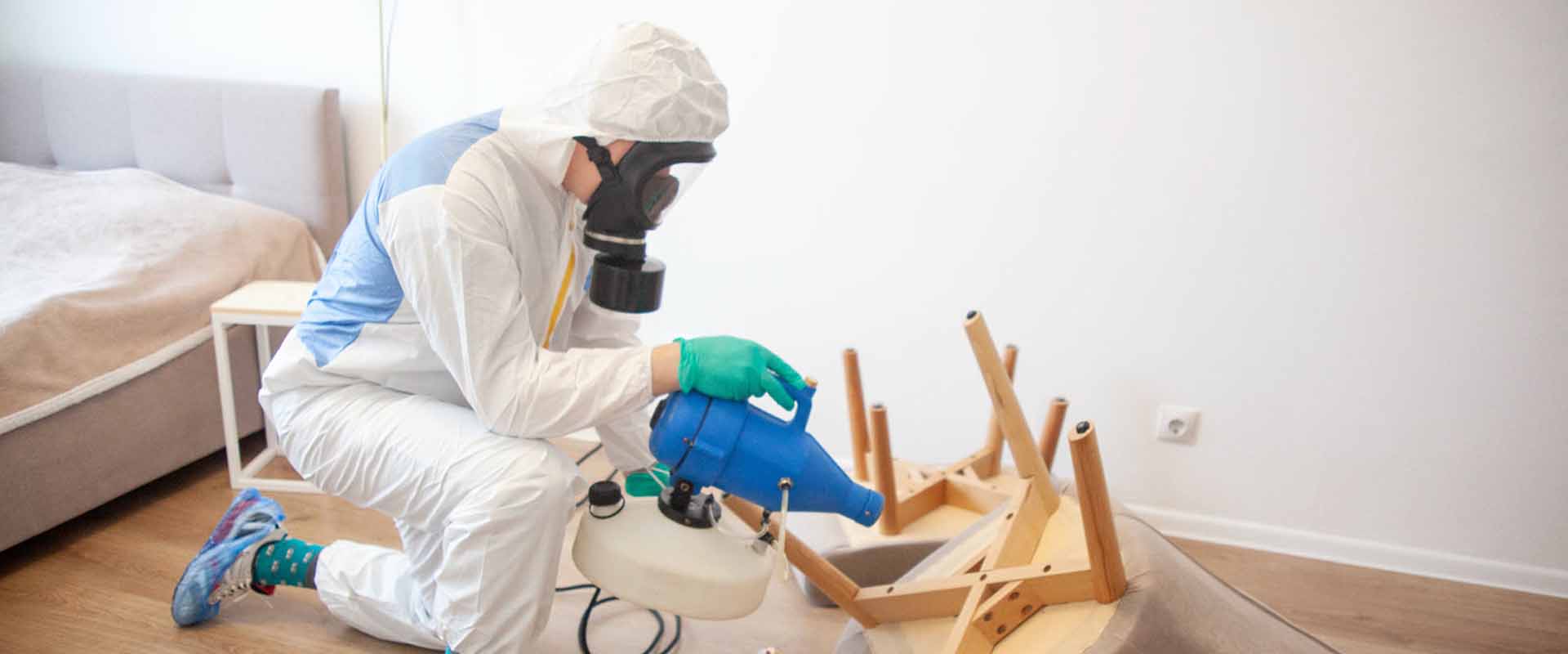 фото: Уничтожение постельных клопов с 1-го раза с гарантией за 30-60 мин. в Первомайском без предоплаты