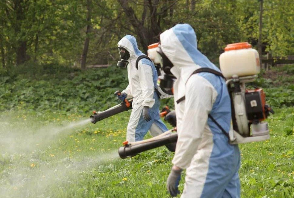 фото: Профессиональное уничтожение мух в Первомайском: <br/>+7-909-173-42-96